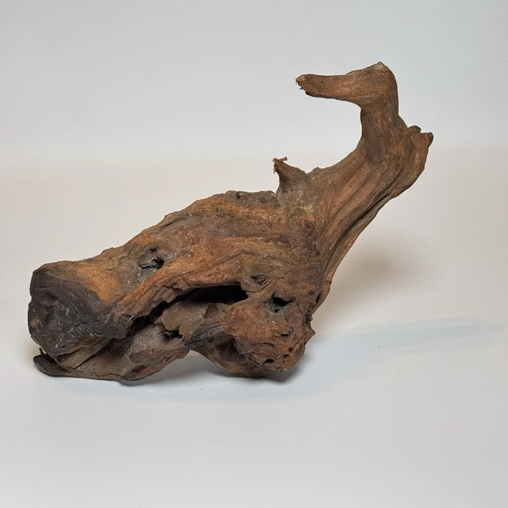 Natural Driftwood Root Sculpture Aquarium Aquascape Terrarium Wood 9.5